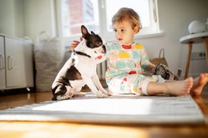 mascotas y bebés